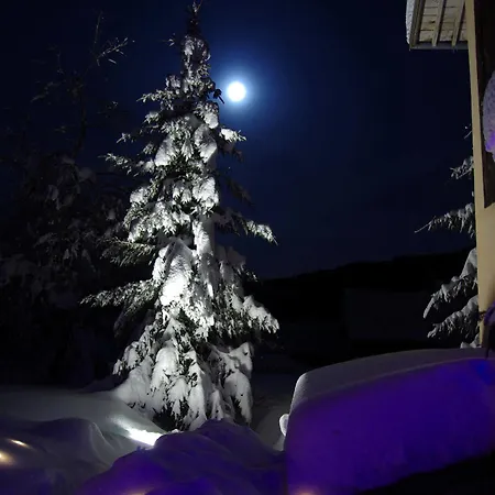 D'hôtes La Devinière Wellness Et 3* Xonrupt-Longemer