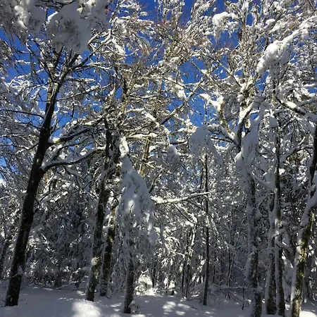 Bed & Breakfast Maison La Deviniere - Sauna Et Compris Accessibles Toute L'annee Xonrupt-Longemer