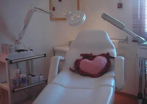 Maison La Deviniere - Sauna Et Compris Accessibles Toute L'annee Bed & Breakfast 3*