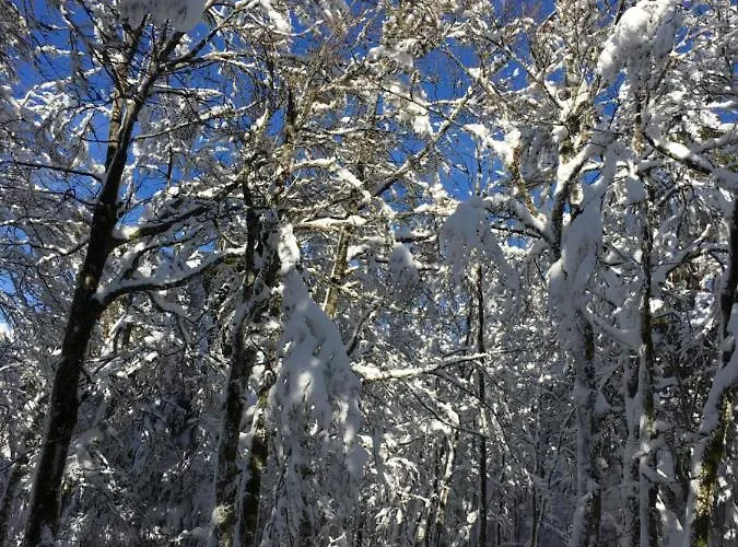 Bed & Breakfast Maison La Deviniere - Sauna Et Compris Accessibles Toute L'annee Xonrupt-Longemer